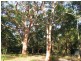 186 Beach Road, Mitchells Island NSW 2430