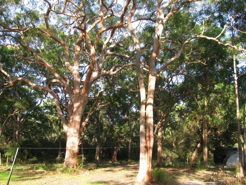 186 Beach Road, Mitchells Island NSW 2430