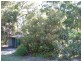 186 Beach Road, Mitchells Island NSW 2430