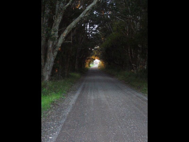 74 Ruprechts Road, Mitchells Island NSW 2430