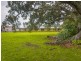 105 Pelican Bay Road, Mitchells Island NSW 2430