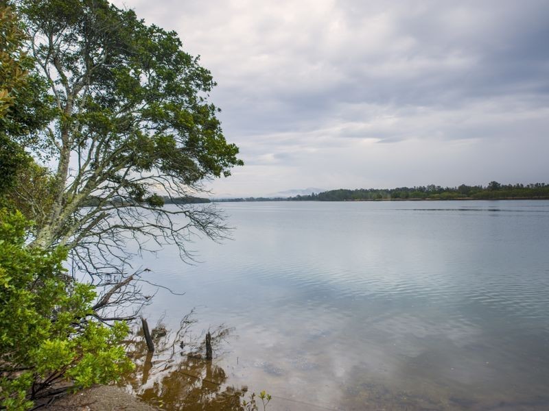 105 Pelican Bay Road, Mitchells Island NSW 2430