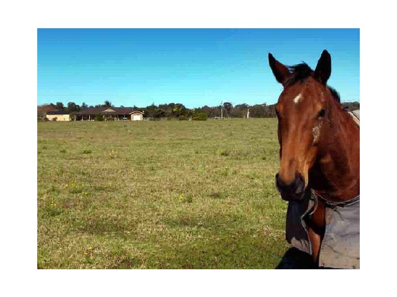 808 Manning Point Road, Oxley Island NSW 2430