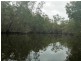 117 Old Bar Road, Glenthorne NSW 2430
