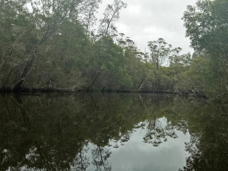 117 Old Bar Road, Glenthorne NSW 2430