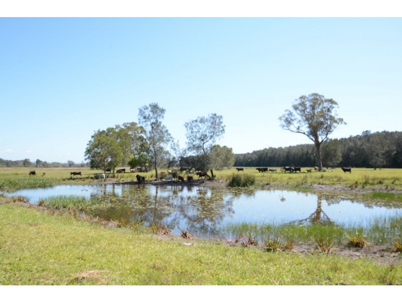 189 Sandridge Road, Mitchells Island NSW 2430