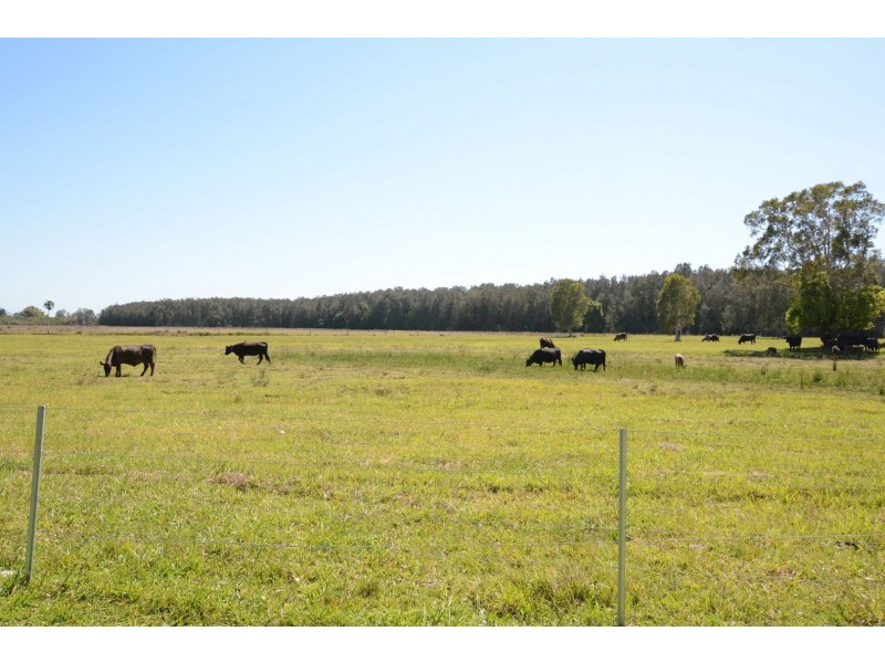 189 Sandridge Road, Mitchells Island NSW 2430