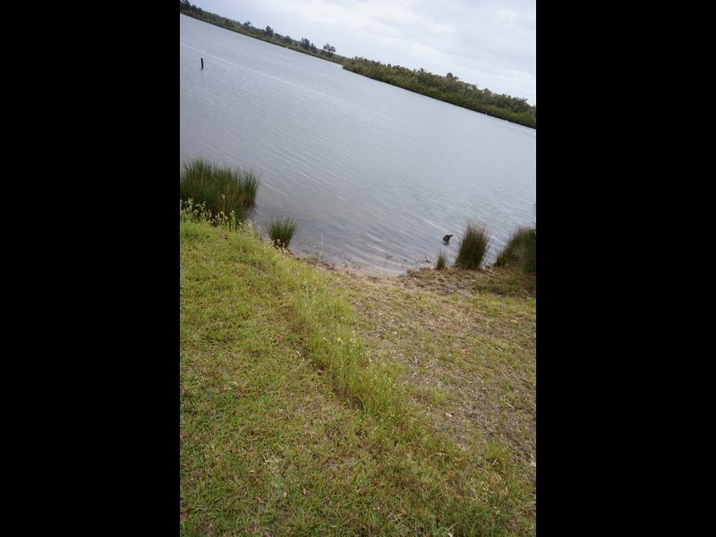 1425 Manning Point Road, Mitchells Island NSW 2430