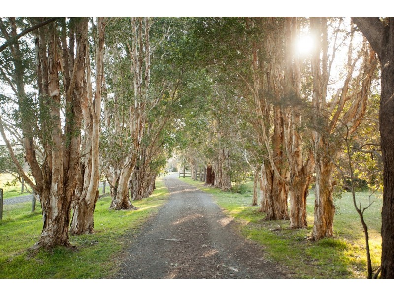 35 Narrung Place, Oxley Island NSW 2430