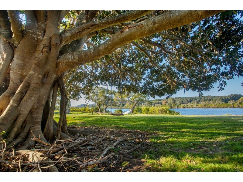 35 Narrung Place, Oxley Island NSW 2430