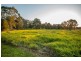 35 Narrung Place, Oxley Island NSW 2430