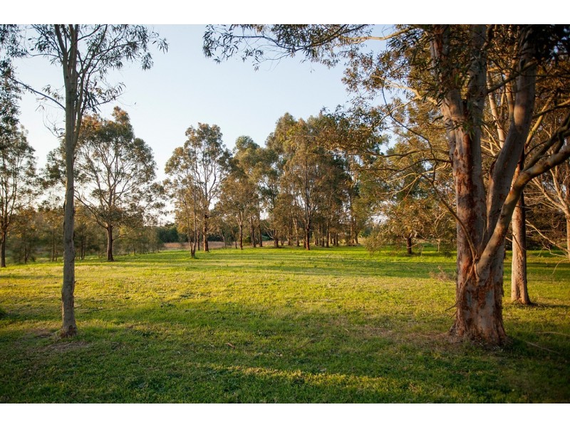 35 Narrung Place, Oxley Island NSW 2430