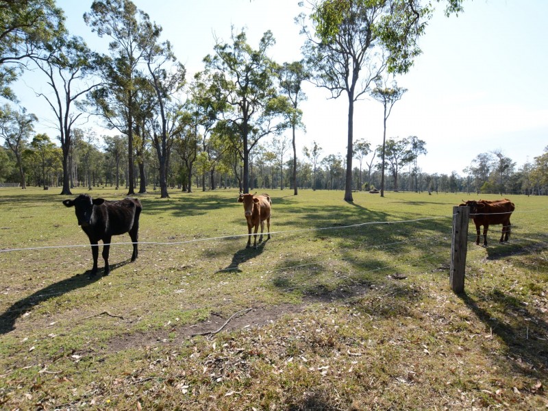 633 Manning Point Road, Oxley Island NSW 2430