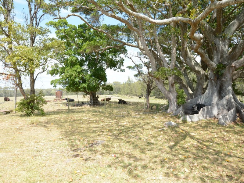 48 Richards Lane, Mitchells Island NSW 2430