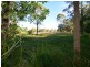 1266 Manning Point Road, Mitchells Island NSW 2430