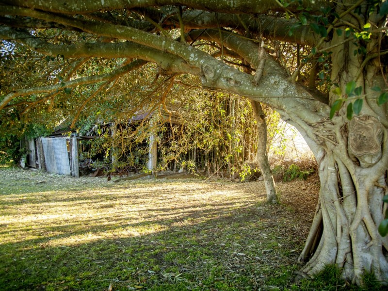 149 Murdochs Lane, Oxley Island NSW 2430