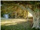 149 Murdochs Lane, Oxley Island NSW 2430