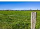 149 Murdochs Lane, Oxley Island NSW 2430