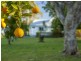 149 Murdochs Lane, Oxley Island NSW 2430