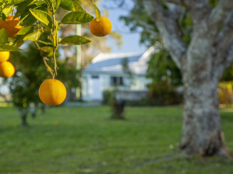 149 Murdochs Lane, Oxley Island NSW 2430