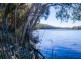 555 Follies Road, Old Bar NSW 2430