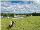 51 Riverview Road, Mitchells Island NSW 2430