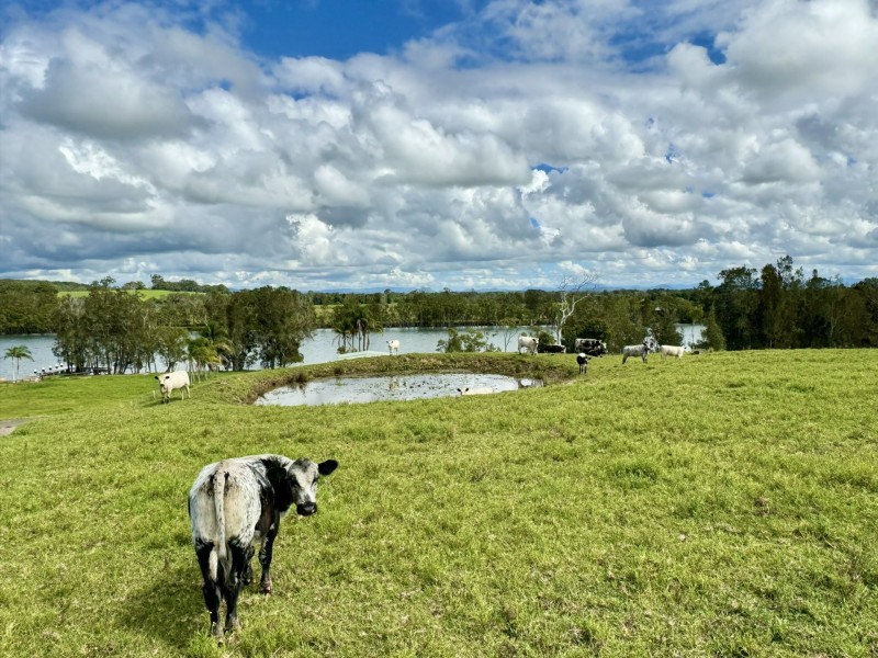 51 Riverview Road, Mitchells Island NSW 2430