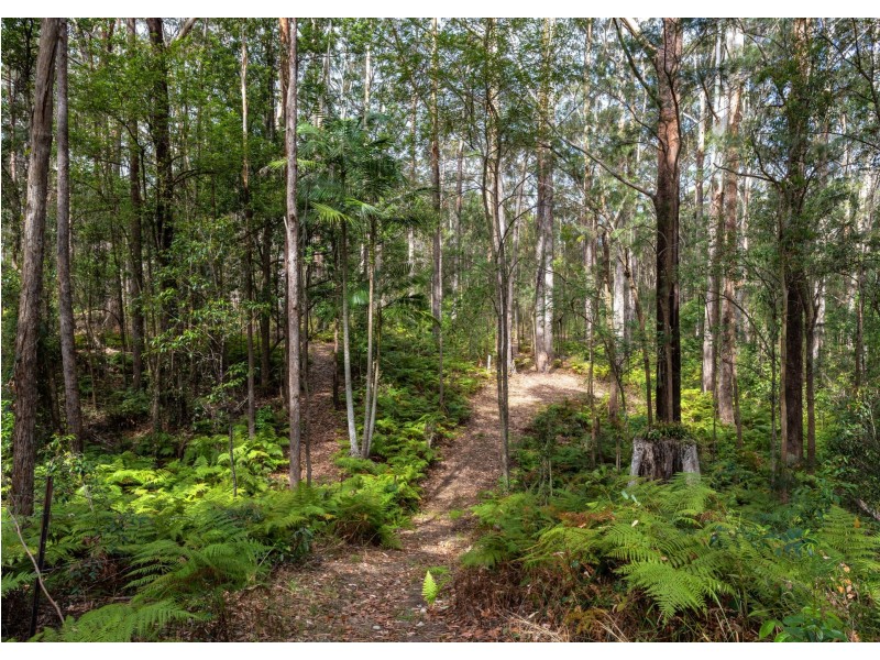 13 Rainforest Drive, Mitchells Island NSW 2430