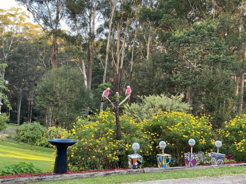 13 Rainforest Drive, Mitchells Island NSW 2430