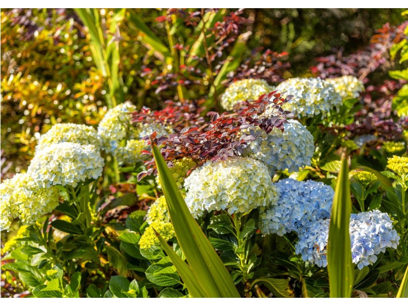 515 Manning Point Road, Oxley Island NSW 2430