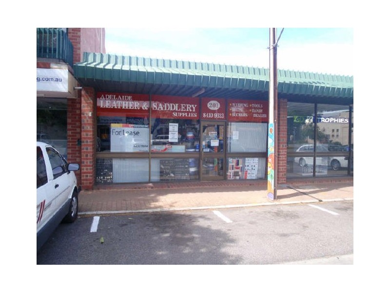 201 Sturt Street, Adelaide SA 5000