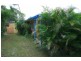 41 Euree Street, Kenmore QLD 4069