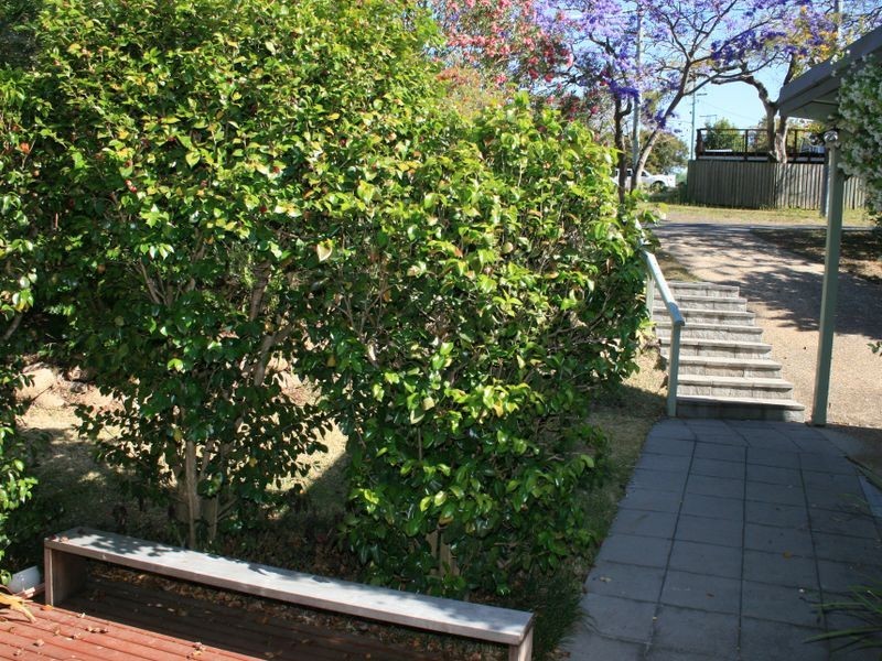 61 Moordale Street, Chapel Hill QLD 4069