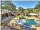99 Burbong Street, Chapel Hill QLD 4069