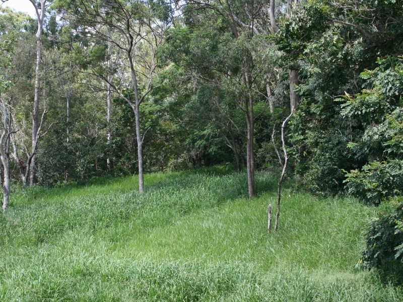 25A Jainba Street, Indooroopilly QLD 4068