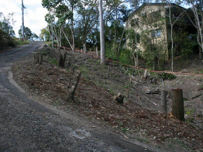 87 Ludlow Street, Chapel Hill QLD 4069