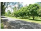 91 Akuna Street, Kenmore QLD 4069