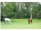 360 Kangaroo Gully Road, Anstead QLD 4070
