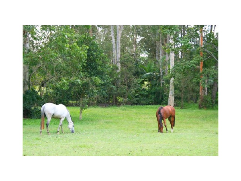 360 Kangaroo Gully Road, Anstead QLD 4070