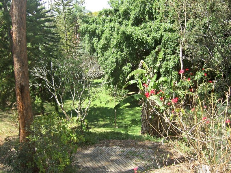 59 Moordale Street, Chapel Hill QLD 4069