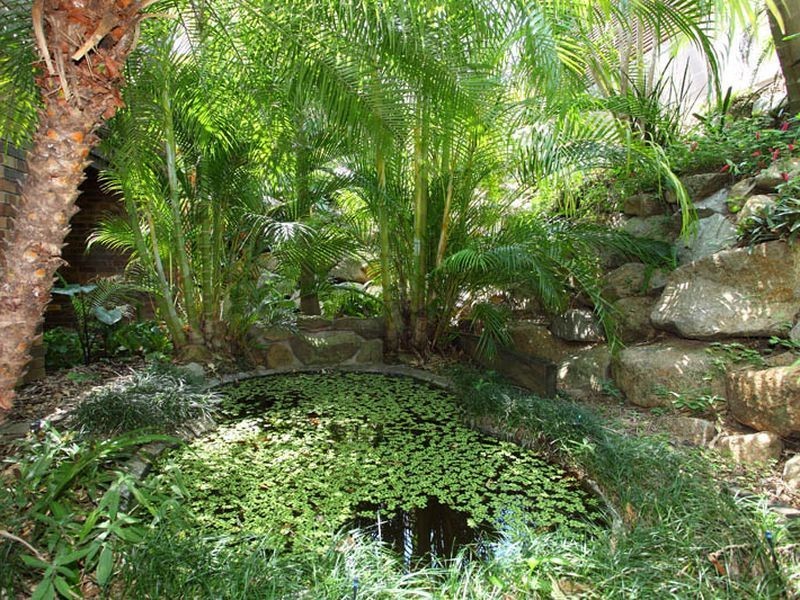 25 Kirkdale Rd, Chapel Hill QLD 4069
