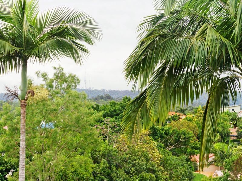 11 Martens Place, Brookfield QLD 4069