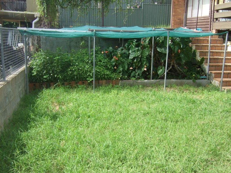 29 Chapel Hill Road, Chapel Hill QLD 4069