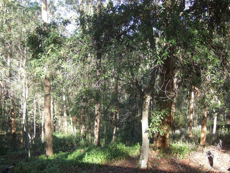 232 Bielby Road, Kenmore Hills QLD 4069