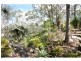 165 Huntingdale Street, Pullenvale QLD 4069
