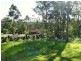 11/13 Kirkdale Road, Chapel Hill QLD 4069
