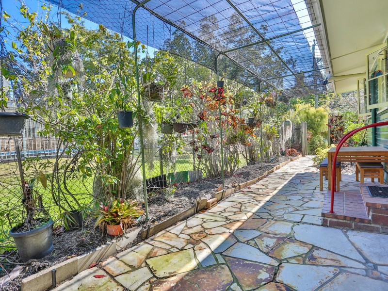 51 Trenton Street, Kenmore QLD 4069