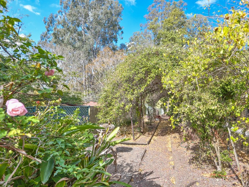 51 Trenton Street, Kenmore QLD 4069