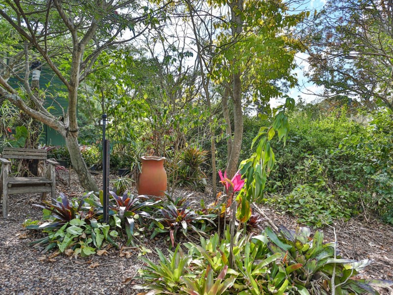 51 Trenton Street, Kenmore QLD 4069