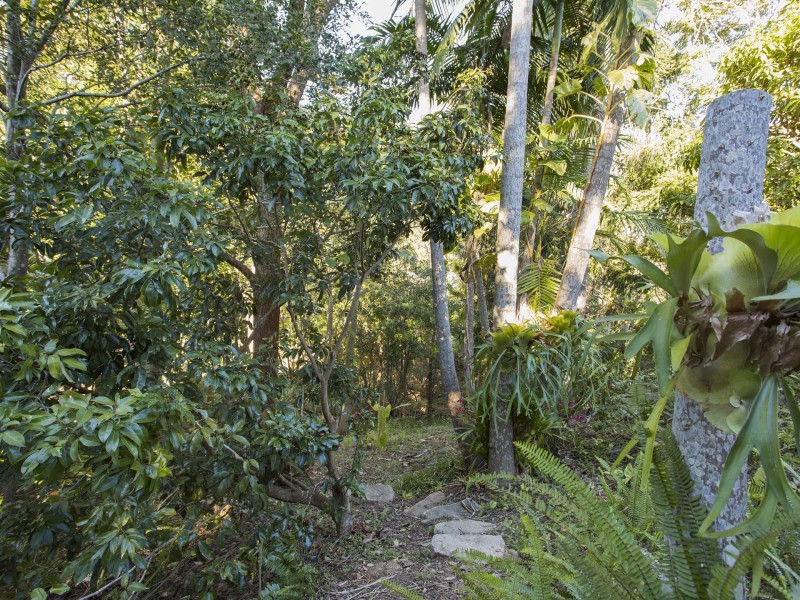 13 Shannan Place, Kenmore Hills QLD 4069